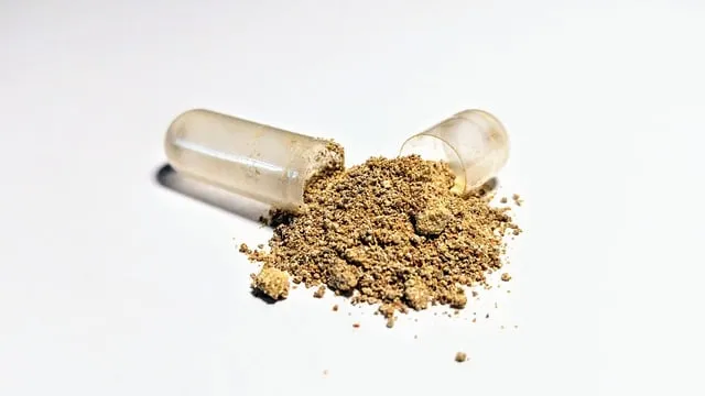 Ashwagandha – zdrowie i witalność